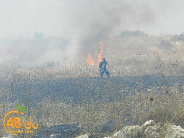 fire a7rsaah (2).jpg